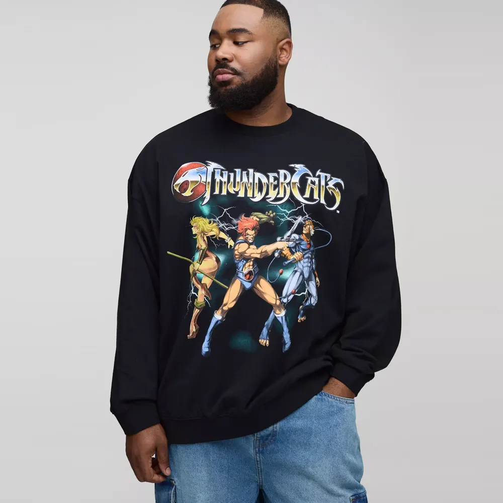 Plus Regular Fit Thunder cats Print Sweater